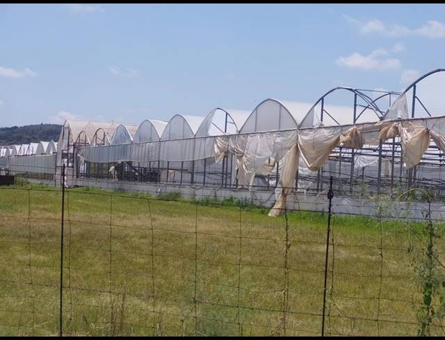 FARM FOR SALE IN WELTEVREDEN